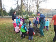 Výsadba u MŠ 2015 - sponzorováno firmou PAJR s.r.o.Vlkava